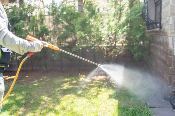 Wasp Removal Services in West Long Branch, NJ