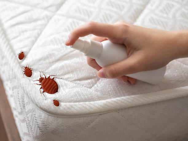 Best Cockroach Control Services  in West Long Branch, NJ