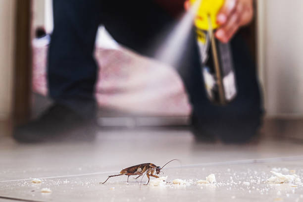 Best Commercial Pest Control Services  in West Long Branch, NJ